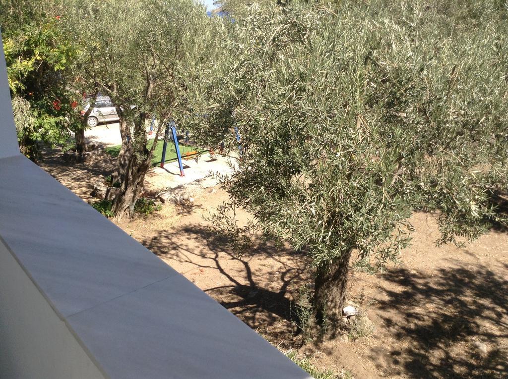 Rooms To Let To Kyma Skala Sikamineas Skala Sykamineas Bagian luar foto