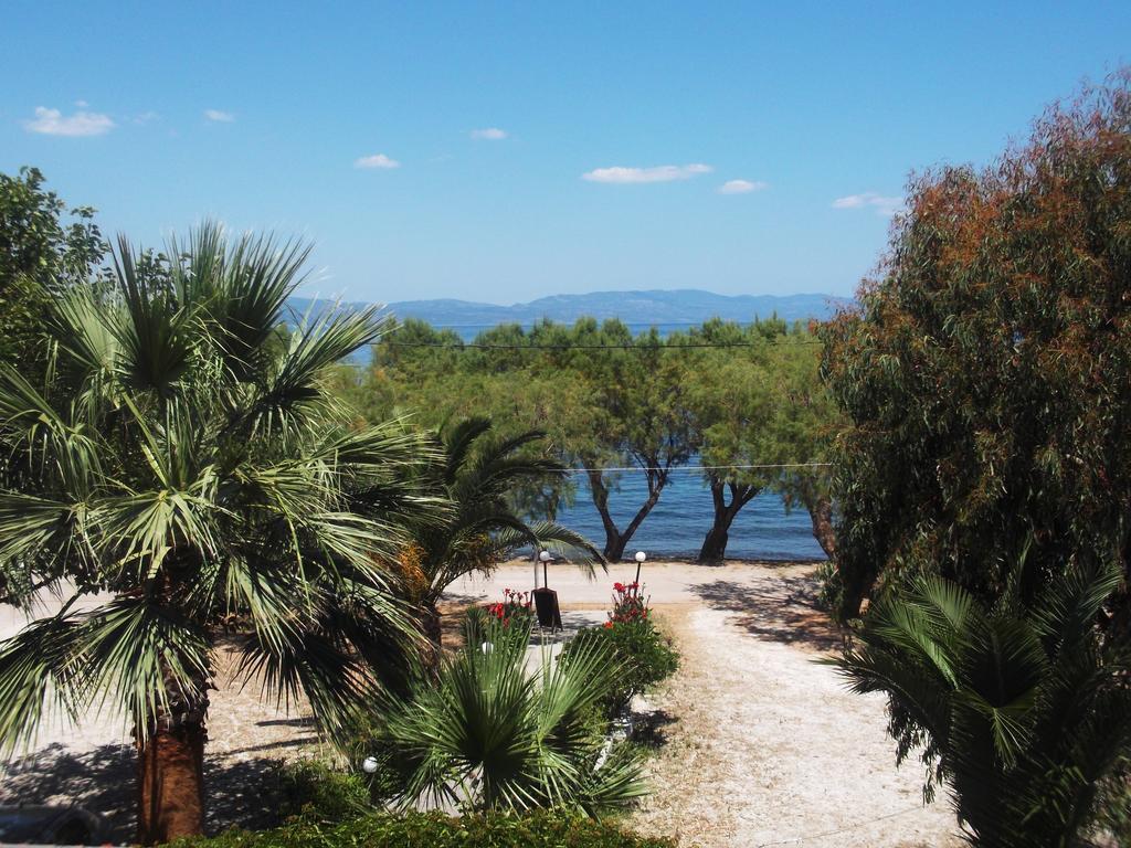 Rooms To Let To Kyma Skala Sikamineas Skala Sykamineas Ruang foto
