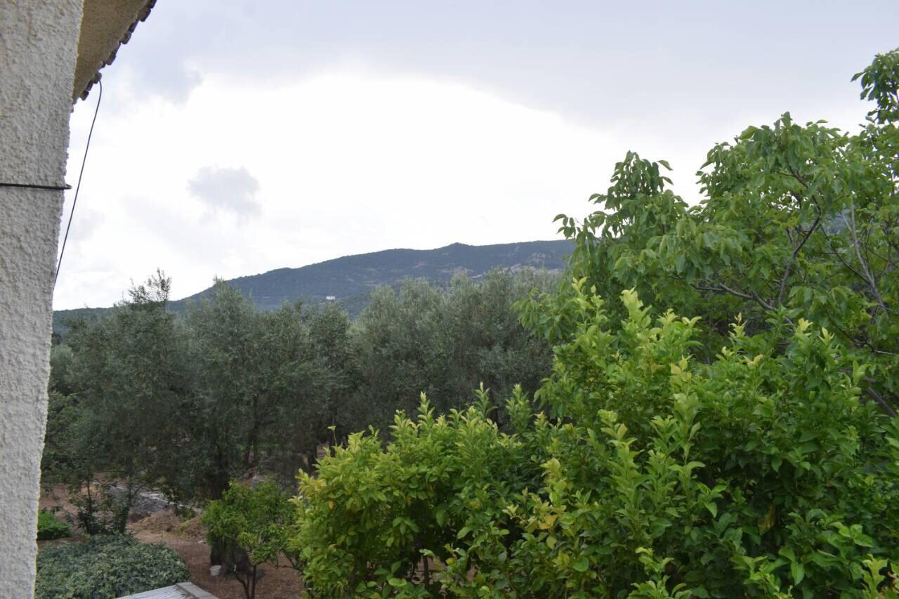 Rooms To Let To Kyma Skala Sikamineas Skala Sykamineas Bagian luar foto